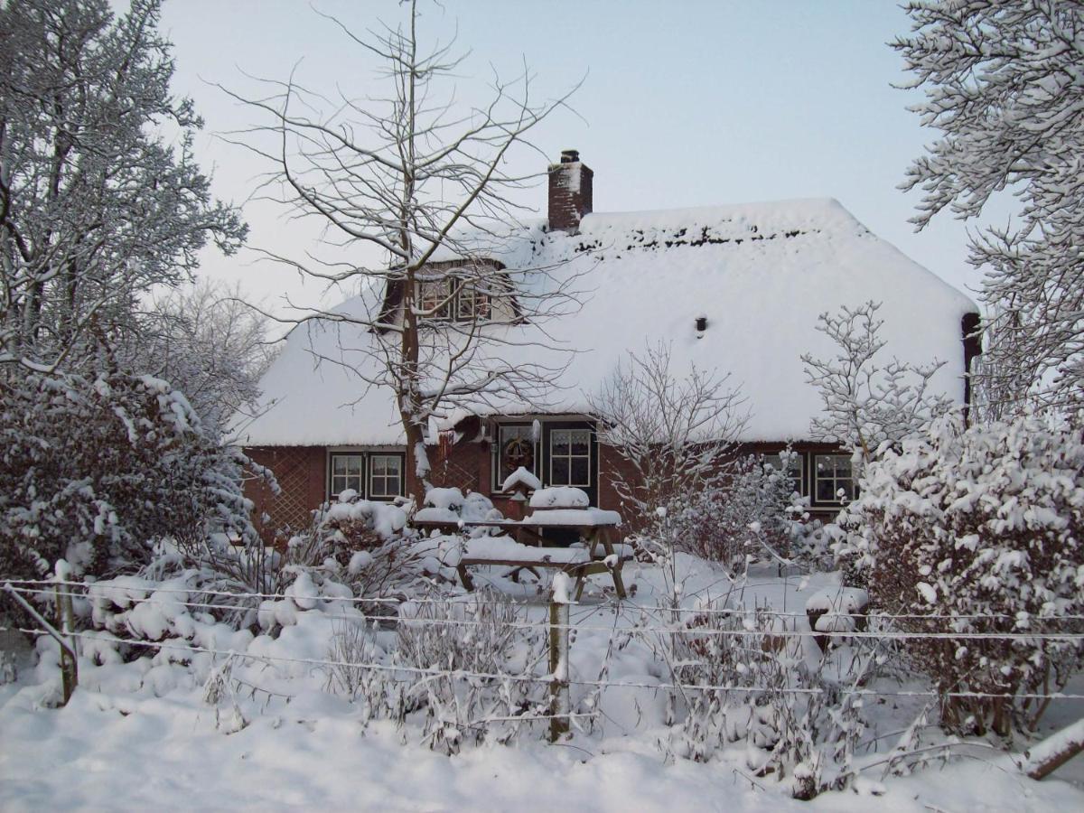 Anton'S Erfje Villa Далфсен Екстериор снимка
